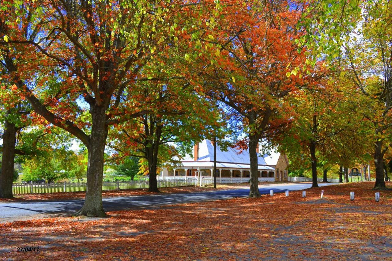 Settlers Motor Inn Tenterfield Exteriör bild